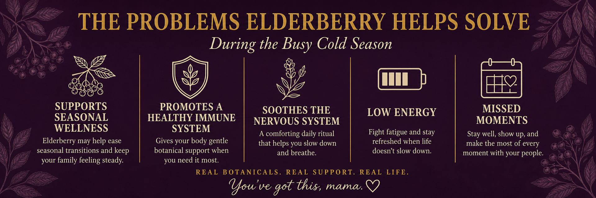 The problems elderberry helps solve: supports seasonal wellness, promotes a healthy immune system, soothes the nervous system, low energy, and missed moments